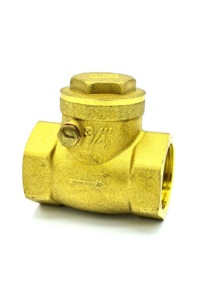 Other Supapă de sens unidirecțională cu clapetă de 1/2 inch, din alamă, cu cl...