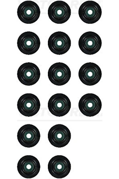 VICTOR REINZ Set Garnituri Ax Supape Renault Laguna 2/Megane 1