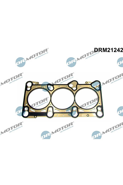 DR.MOTOR AUTOMOTIVE Garnitura Chiulasa Audi A4 B6/A4 B7/A6 C5 2000-2006