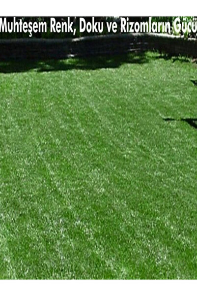 proplatin 7 Günde Çimlenen 7 Mix Çim Tohumu 3 Kg Grass Çayır Çimen Tohumu