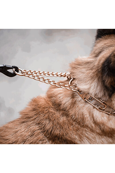 Sprenger Zgarda Dresaj Curogan 64cm 4mm