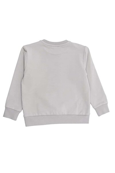 Ozmoz By Mukadder Özden Organic Gray Winter Unisex Little Kids Sweatshirt