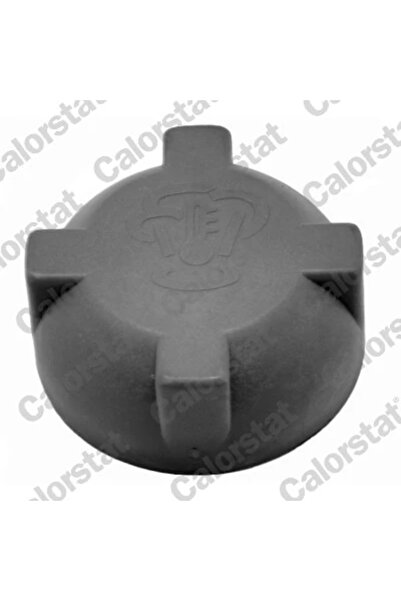 CALORSTAT by Vernet Buson Vas Expansiune Audi 100 C1 Limuzina/100 C2 Limuzina...