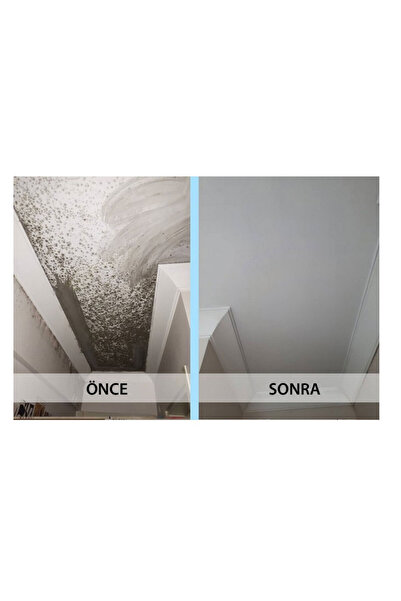 Isonem MS82 Rutubet ve Nem Boyası 5 Kg