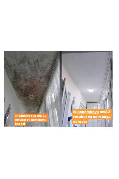 Isonem MS82 Rutubet ve Nem Boyası 5 Kg