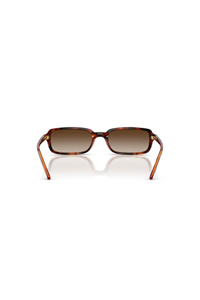 Vogue Vo 5666S W65613 53 Sunglasses