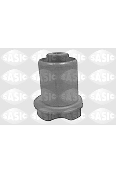 SASIC Suport Ax Spate Renault Clio 2/Clio Symbol 1/Twingo 2 1998-2016
