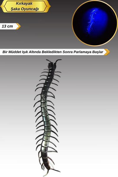 Tamsena Store 13 cm Karanlıkta Parlayan Fosforlu Kırkayak Şaka Oyuncağı Glow