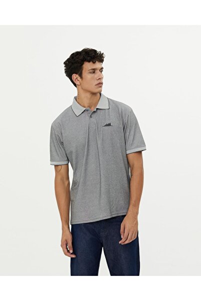 BAPS Hindu Mandir Classic Polo T-shirt, Turtle Neck Short Sleeves, Traditional Style, Polyester, Light Grey