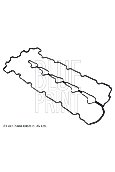 BLUE PRİNT Garnitura Capac Supape Ssangyong Kyron/Rodius 1