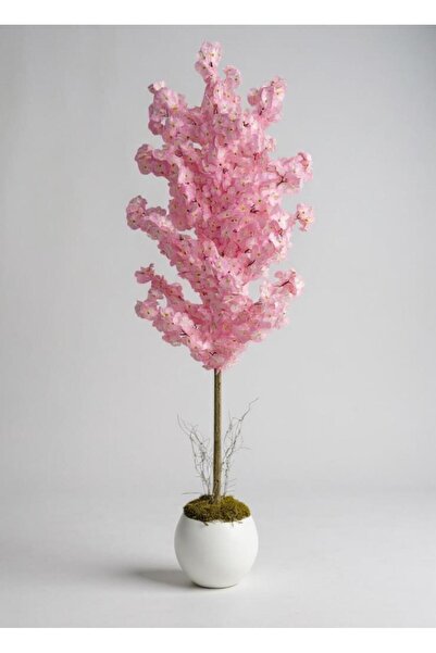 Nettenevime Yapay Ağaç Japon Kiraz Çiçeği Bahardalı Ağacı Beyaz Küre Saksıda ...