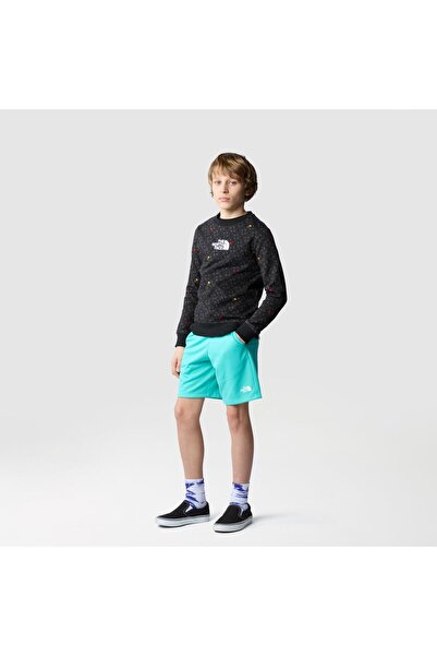 THE NORTH FACE B Drew Peak Light Crew Print Boys' Sweatshirt