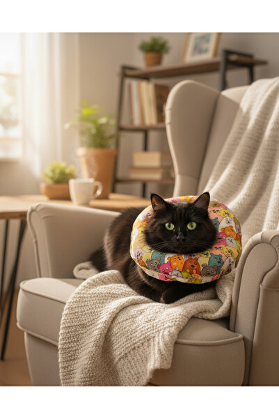 Patipatron Kedi Köpek Boyunluğu Yaka Boyunluk – Operasyon Sonrası Koruma, Yalama ve Tırmalama Önleyici