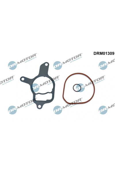 DR.MOTOR AUTOMOTIVE Set Etansare Pompa Vacuum Audi A3/Q3/Tt Cupra Formentor