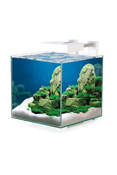 Ciano حوض أسماك نيكسوس بيور ١٥ مكعب زجاجي سعة ١٤ لترًا مع مصباح LED وفلتر