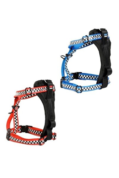 KİWİ WALKER أحزمة سباق للكلاب