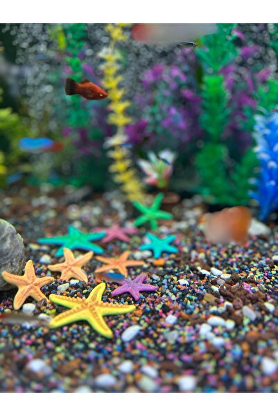 MUYU CRAFT 9’lu Set Denizyıldızı Akvaryum Dekoru – Tropikal Akvaryum Süsü Karışık Renk dnzyld, one size