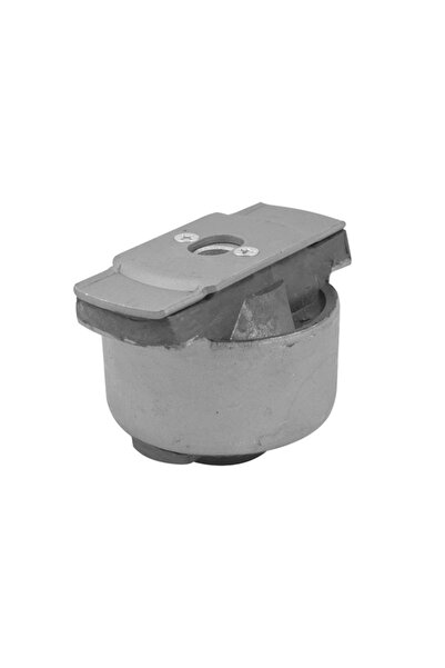 TEDGUM Suport Ax Axa Spate Dreapta Renault Laguna 2