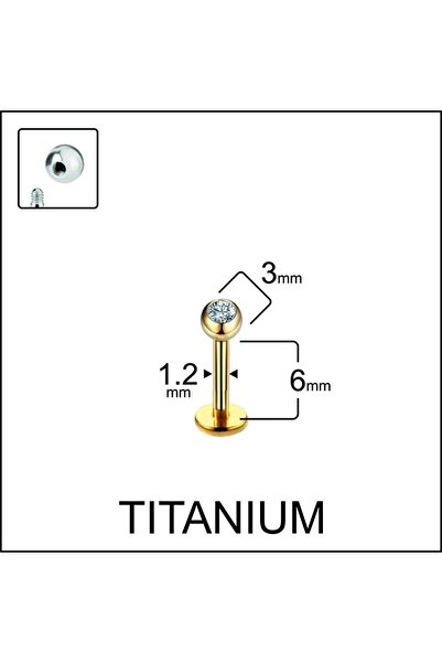 Rupen Kraft Yüksek Kalite G23 Titanium Tek Taş Titanyum Dudak Helix Kıkırdak Tragus Piercingi