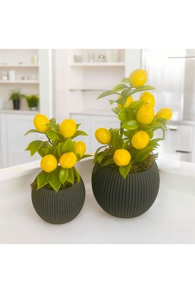 Trend KenT شجرة فاكهة اصطناعية في وعاء من الأنتراشيت مكونة من قطعتين، زهرة طا...