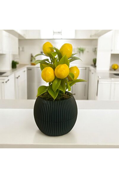 Trend KenT شجرة زهور اصطناعية صغيرة مع أوراق طحالب حجرية في وعاء أنثراسيت صغير