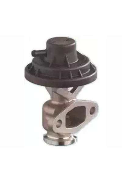 MAGNETI MARELLI Supapa Egr Vw Caddy 3 Autoutilitara/Limuzina Spatioasa (2KA, ...