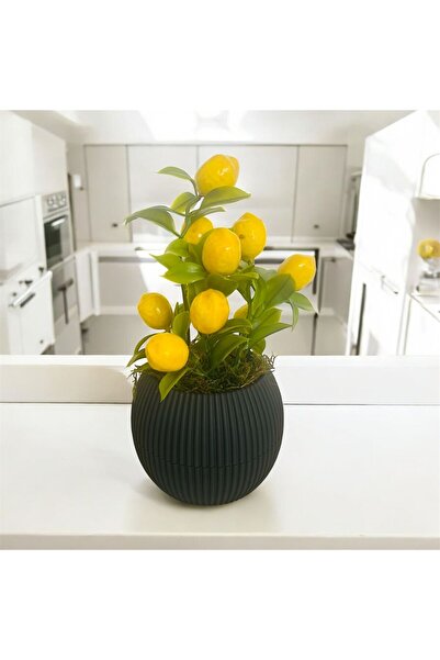 Trend KenT شجرة زهور اصطناعية مزينة بالطحالب الحجرية في وعاء متوسط الحجم بلون...