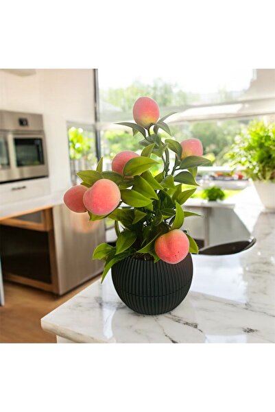 Trend KenT شجرة زهور اصطناعية صغيرة مع أوراق طحالب حجرية في وعاء أنثراسيت صغير