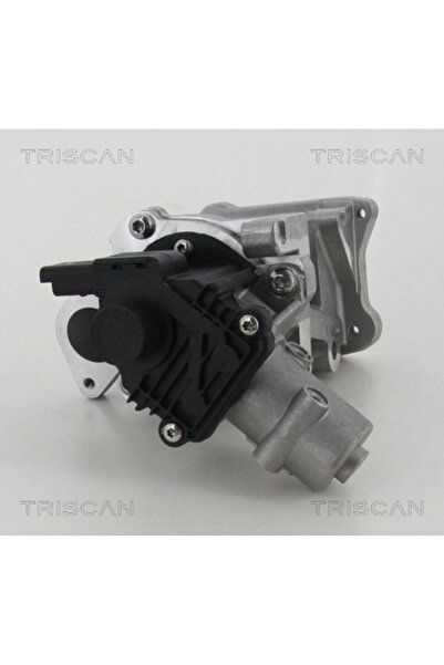TRISCAN Supapa Egr Citroen C-Crosser/C5 2/C5 3 Ford Galaxy 2/Galaxy Model 2 V...
