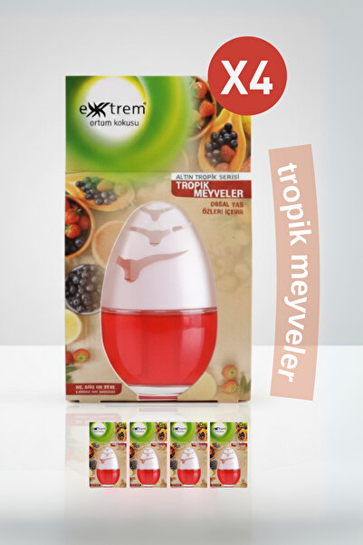 EXXTREM 4'lü Tropik Meyveler Küre Oda ve Araba Kokusu – Dekoratif Cam Küre, 6...