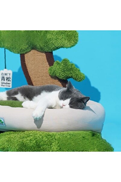 Golden cat Pet bed is filled with PP cotton Relax Plant Bed (Under the tree) - 55cm X 45cm X 55cm