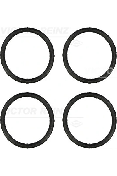 VICTOR REINZ Set Garnituri Galerie Admisie Nissan Interstar Bus/Interstar