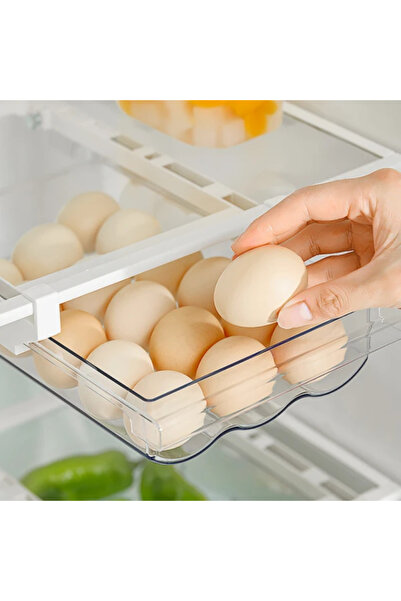 Rovitech Cutie pentru depozitarea ouălor cu suport, montabilă pe raftul frigiderului