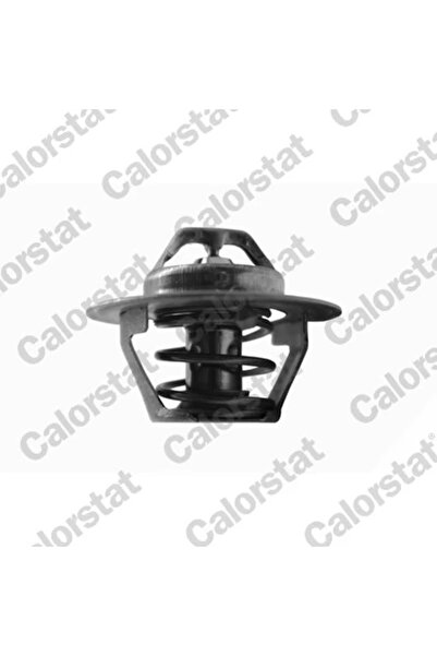 CALORSTAT by Vernet Termostat Lichid Racire Ford Fiesta 3/Fiesta 4/Fiesta Cas...
