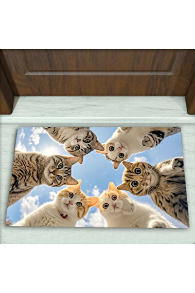 Colorix Carpet Kedi Desenli Dekoratif Kapı Önü Paspası No: 2715