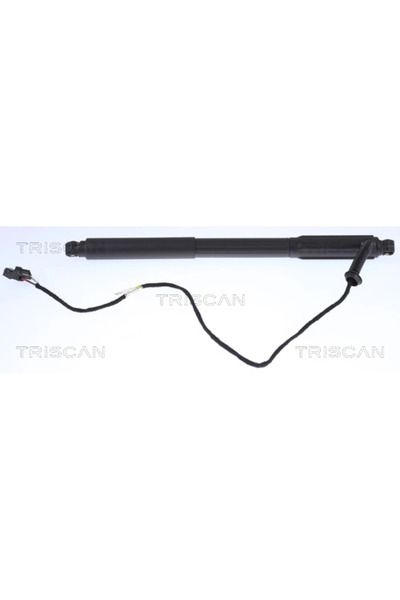 TRISCAN Amortizor Portbagaj Bmw X5