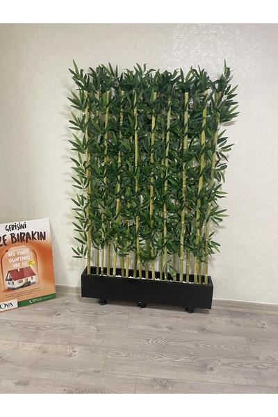 ERHAN FLOWERS 70 cm siyah mat saksıda 15 adet 165 cm bambu sperator