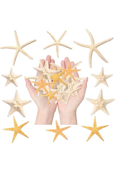 Generic 15 Pcs Natural Starfish for Crafts, Small to Large Dried Sea Stars, B...
