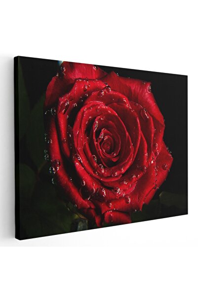 Tablou Canvas Tablou trandafir rosu cu roua, detaliu, rosu, negru, cod 1624