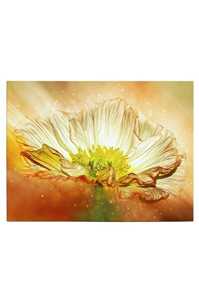 Tablou Canvas floare anemona fantezie in nuante de galben, portocaliu, verde,...