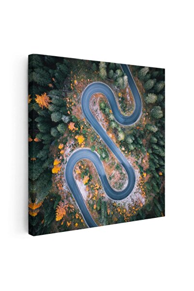 Tablou Canvas Tablou vedere aeriana drum serpuit verde, cod 2002