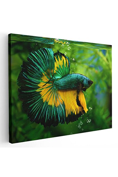 Tablou Canvas Tablou peste luptator siamez, verde, galben, cod 1885