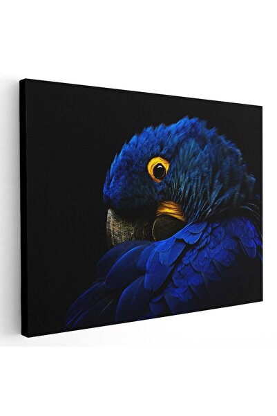 Tablou Canvas Tablou cap papagal ara, detaliu, albastru, negru, cod 1615