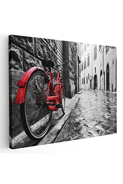 Tablou Canvas bicicleta retro langa perete, rosu, negru, cod 1187