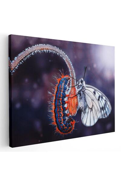 Tablou Canvas Tablou fluture alb si omida, mov, portocaliu, alb, cod 1621