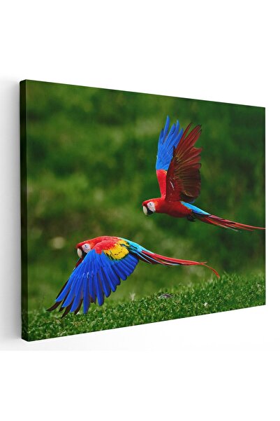 Tablou Canvas Tablou doi papagali Ara in zbor, rosu, albastru, verde, cod 1600