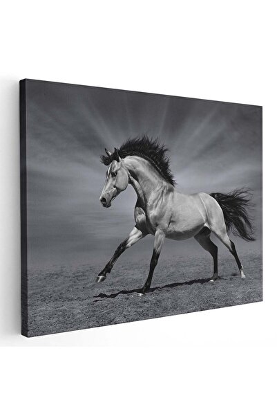 Tablou Canvas Tablou cal alergand pe camp, cod 5267