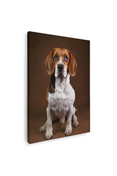 Tablou Canvas Tablou caine rasa Beagle, cod 4157