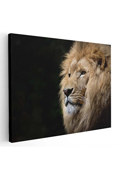 Tablou Canvas Tablou portret profil leu, cod 3247