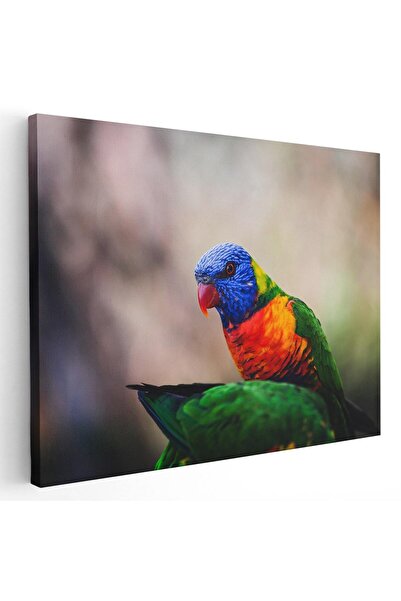 Tablou Canvas Tablou pasare lorichet curcubeu, cod 5213